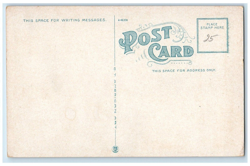 c1930's Aiken Point Webster Lake Franklin New Hampshire NH Vintage Postcard