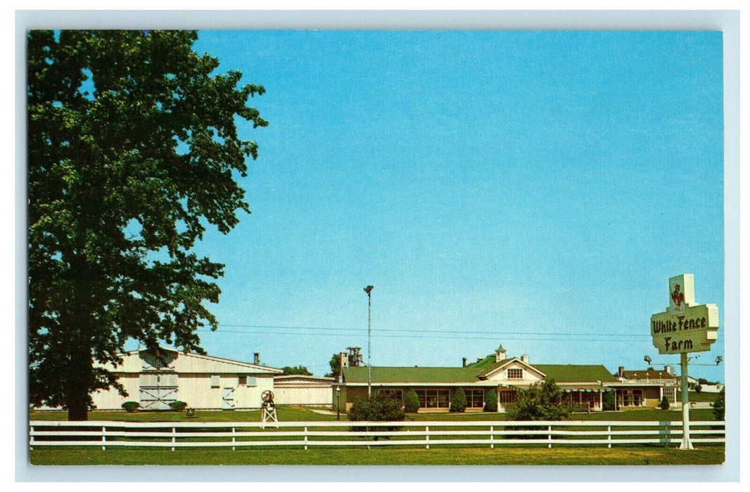 White Fence Animals Farm Joliet Road Lemont Illinois IL Unposted Postcard