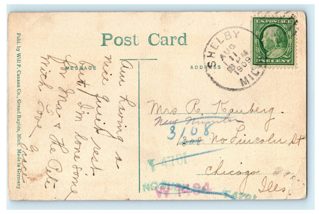 1909 Green Point, Stony Lake, Michigan MI Antique Postcard