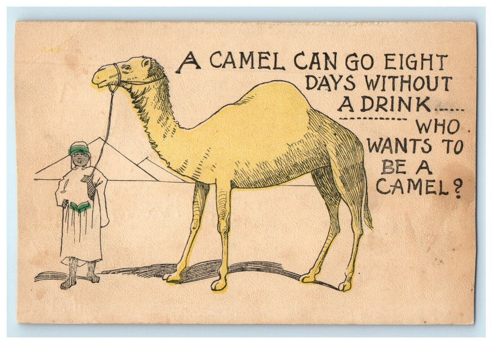 c1905 No Drinking Alcohol Camel Pyramids Egypt Humor Posted Antique Postcard