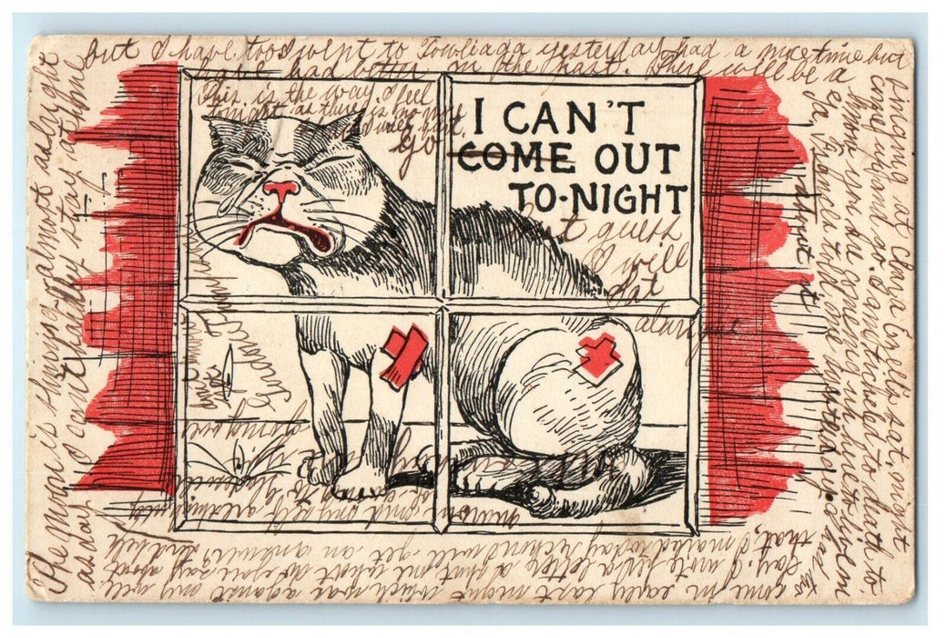 1907 Crying Cat In Window Beat Up I Can't Come Out To-Night Antique Postcard