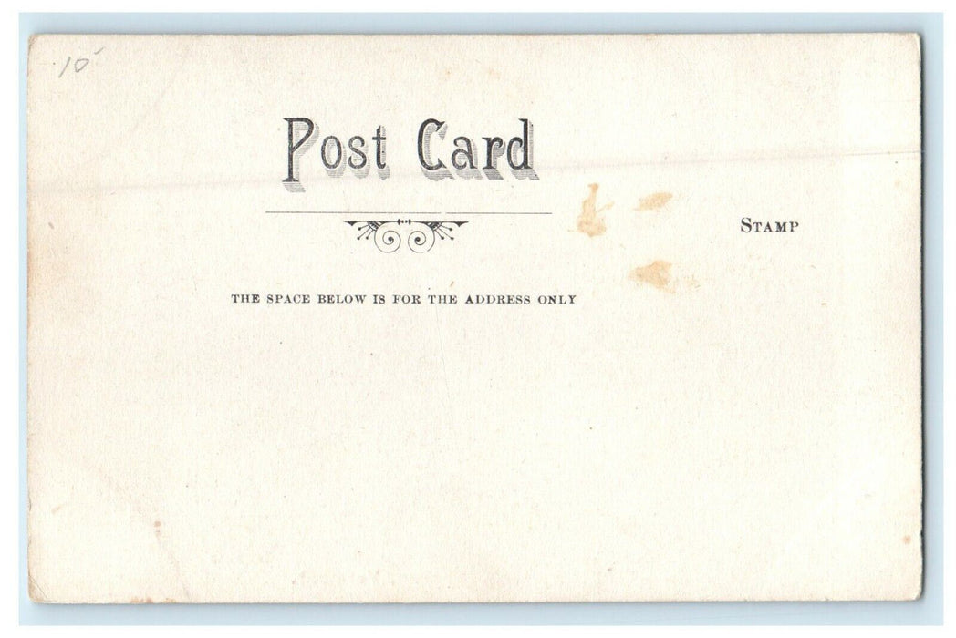 1905 Along The River Bank, Sharon, Vermont VT Antique Unposted Postcard