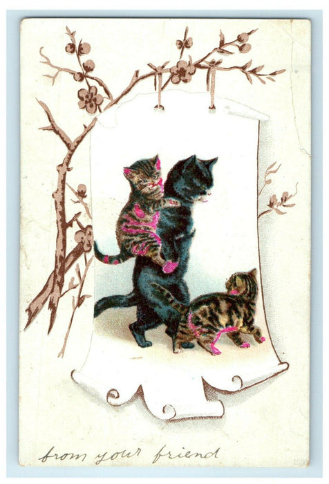 1908 Persian Mother Cat And Kittens Walking Millersburg Pennsylvania PA Postcard