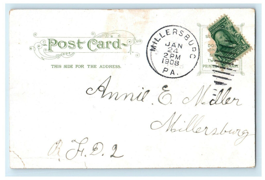 1908 Persian Mother Cat And Kittens Walking Millersburg Pennsylvania PA Postcard