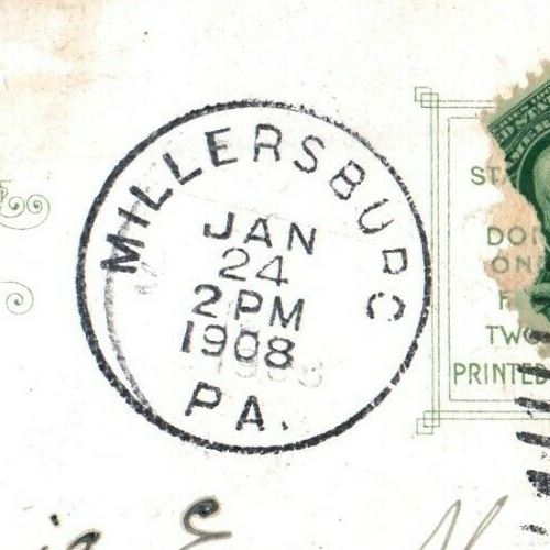 1908 Persian Mother Cat And Kittens Walking Millersburg Pennsylvania PA Postcard