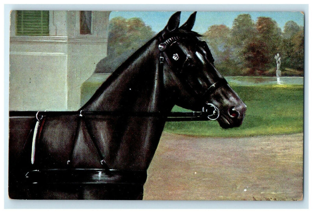 c1910's Black Horse Stallion Artist Signed Painting Germany Postcard