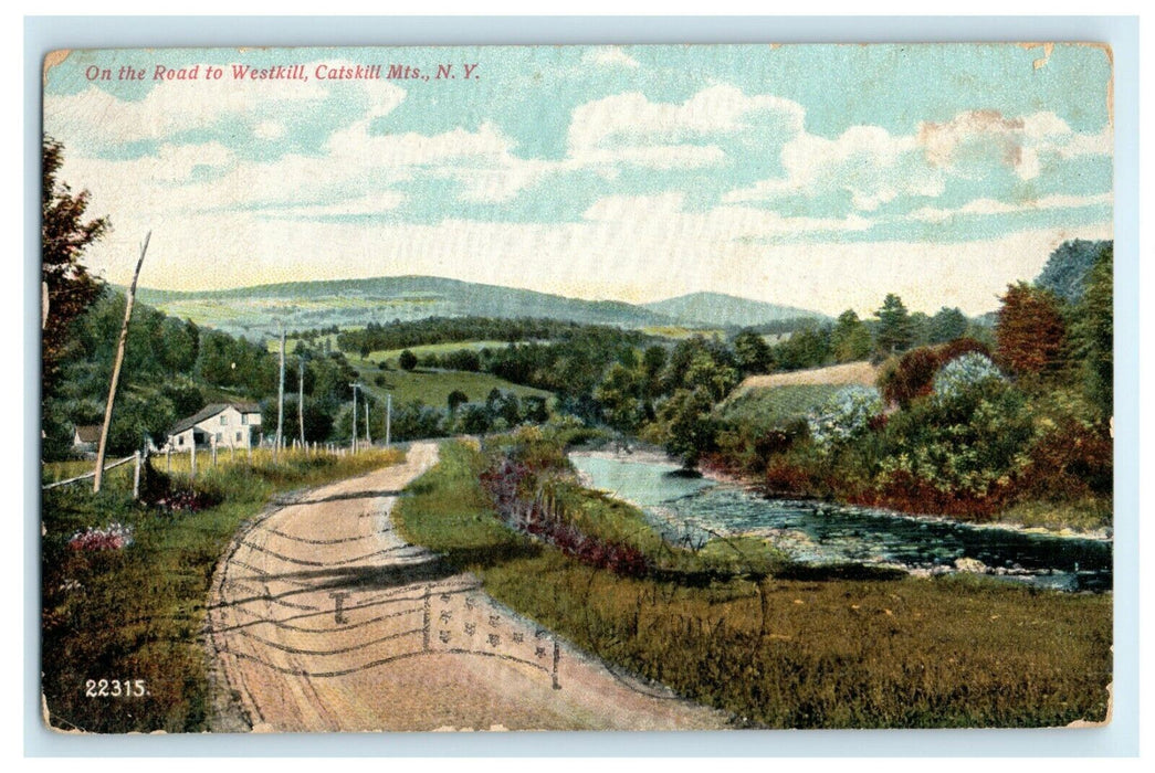 1908 On The Road To Westkill Catskill East Mts Greenbush New York NY Postcard
