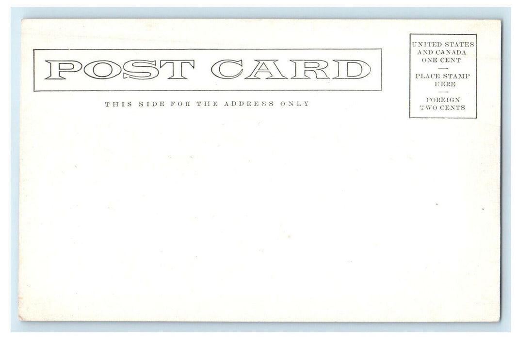 1906 St. Ignatius Cathedral School, San Francisco Earthquake Fire CA Postcard
