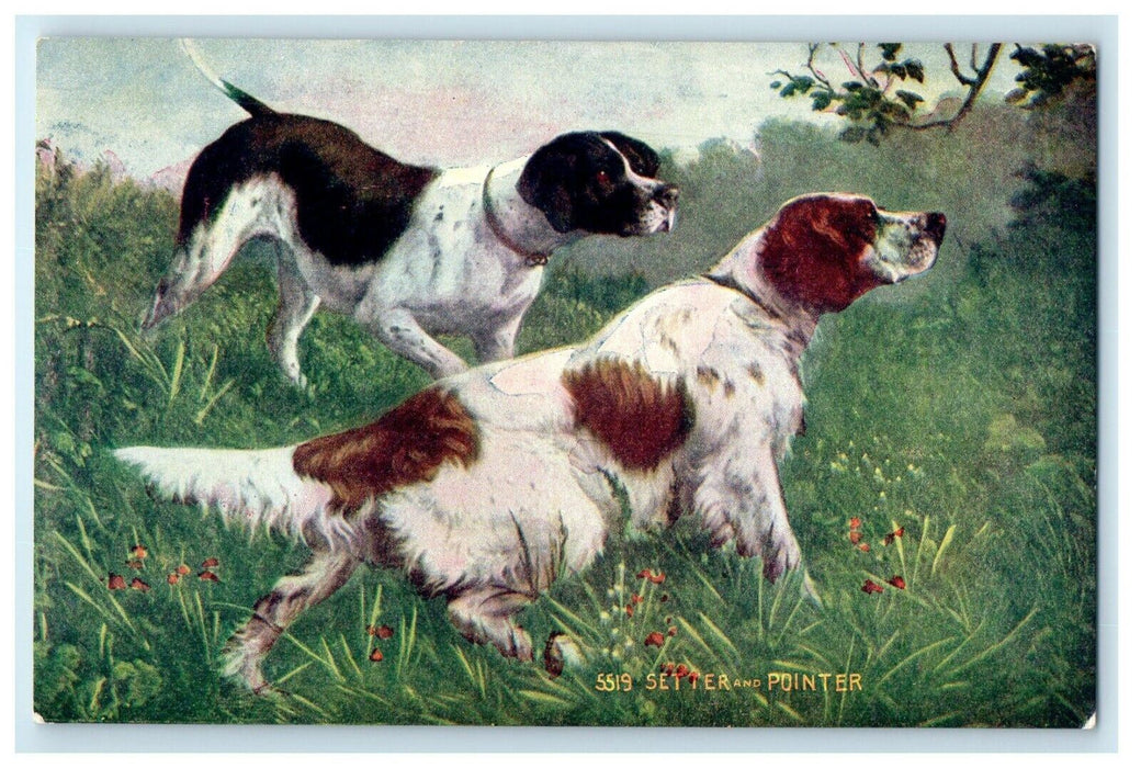 c1910's Setter And Pointer Dogs Hunting Unposted Antique Postcard