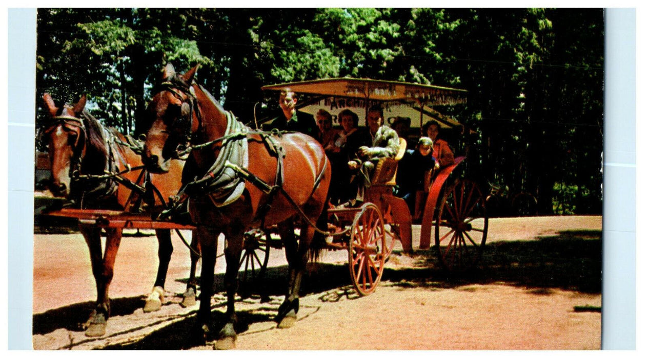 1956 People Riding Horse and Carriage, Mackinac Island Michigan MI Postcard