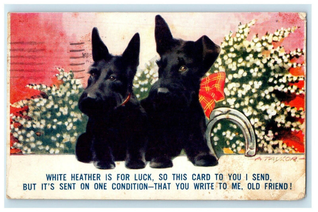 1939 Scottie Dogs Horseshoe White Heather Is For Luck Signed Bamforth Postcard