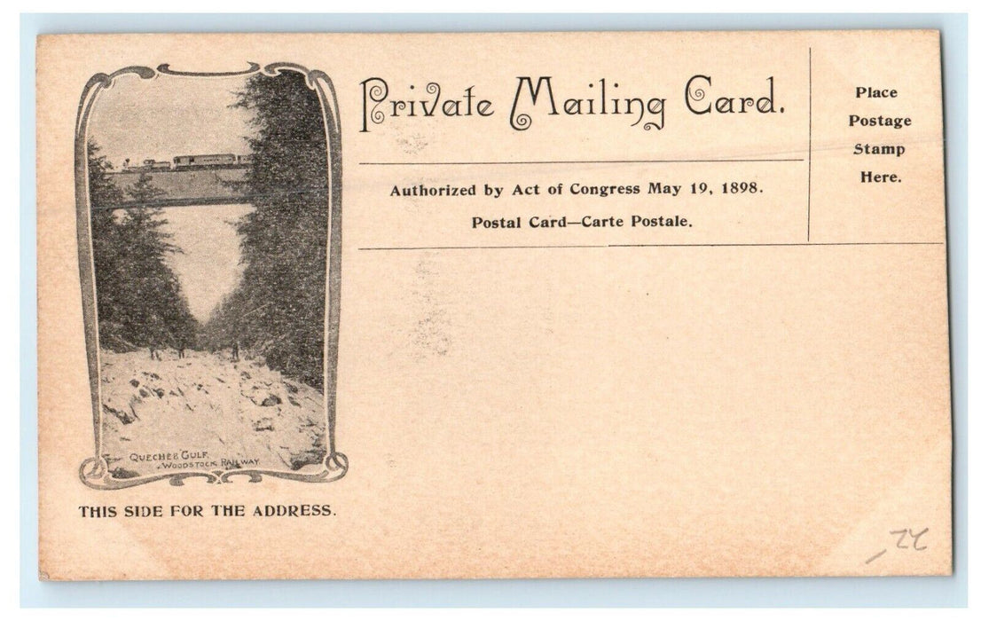 c1900 View Of Elm Street Woodstock Vermont VT Private Mailing Postcard