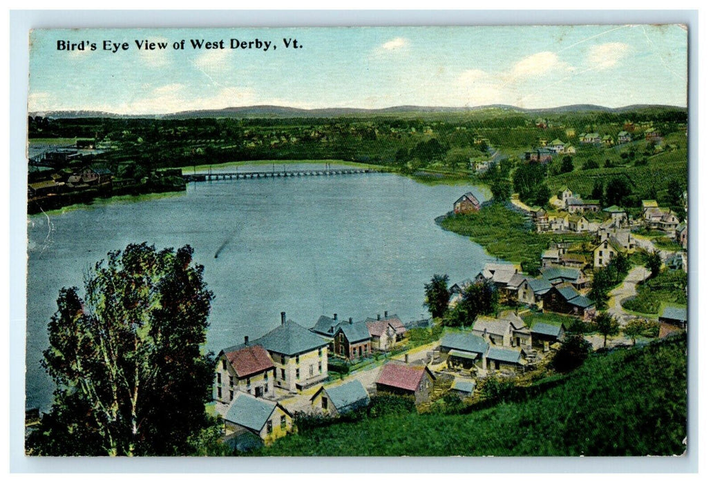 1913 Bird's Eye View Of West Derby Lake House Vermont VT Antique Postcard