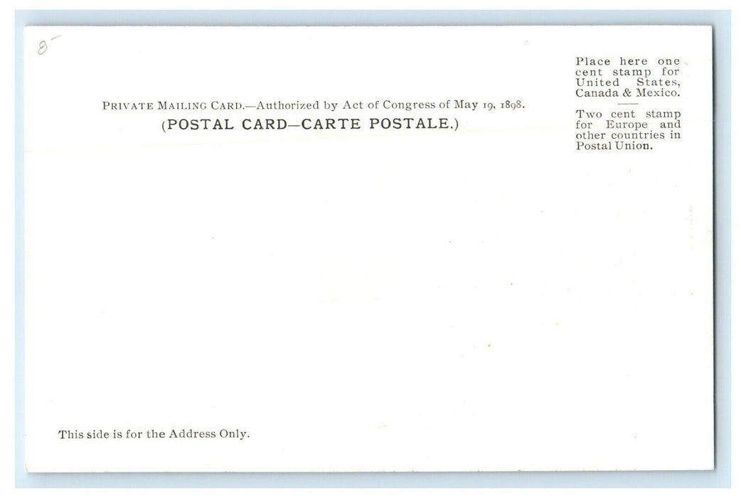 1901 Capitol View, Albany, New York NY Antique Unposted Postcard