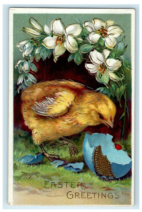 c1910 Easter Greetings Chick Hatched Egg Lady Bug Lily Gold Git Gel Postcard