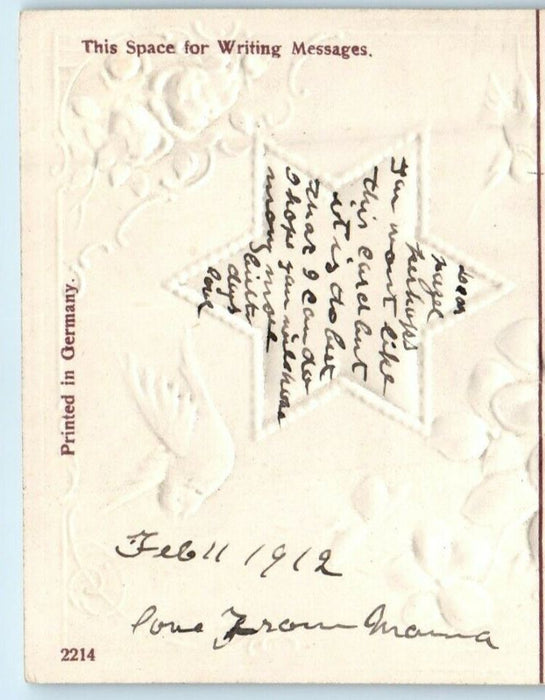1912 Valentine Flying Birds Pansies Flowers Cottage Star Shape Embossed Postcard