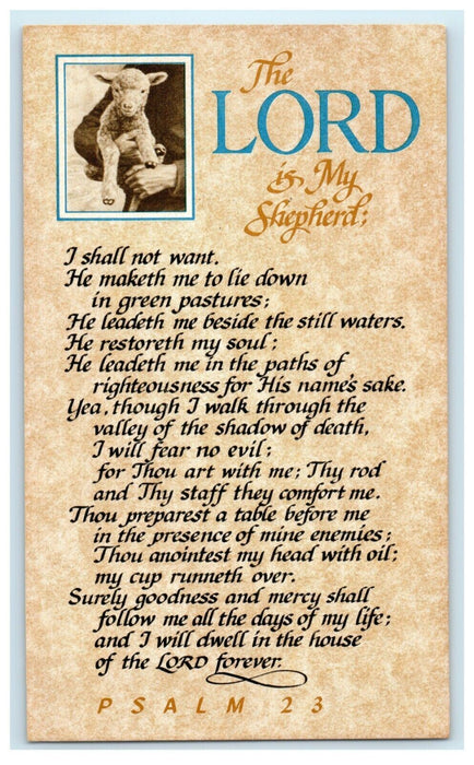 Religious Advertising Psalm 23 Lamb Messiah Church Wauconda Illinois IL Postcard