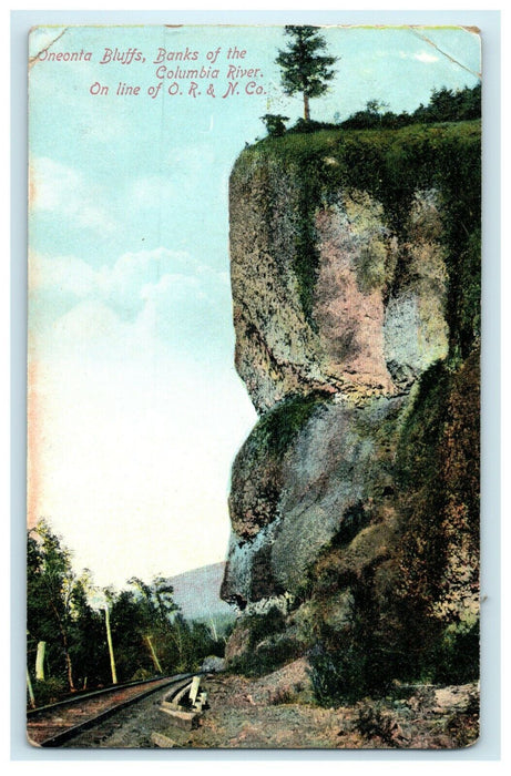 1909 Oneonta Bluffs Columbia River OR & N Railroad Ruckles Oregon OR Postcard
