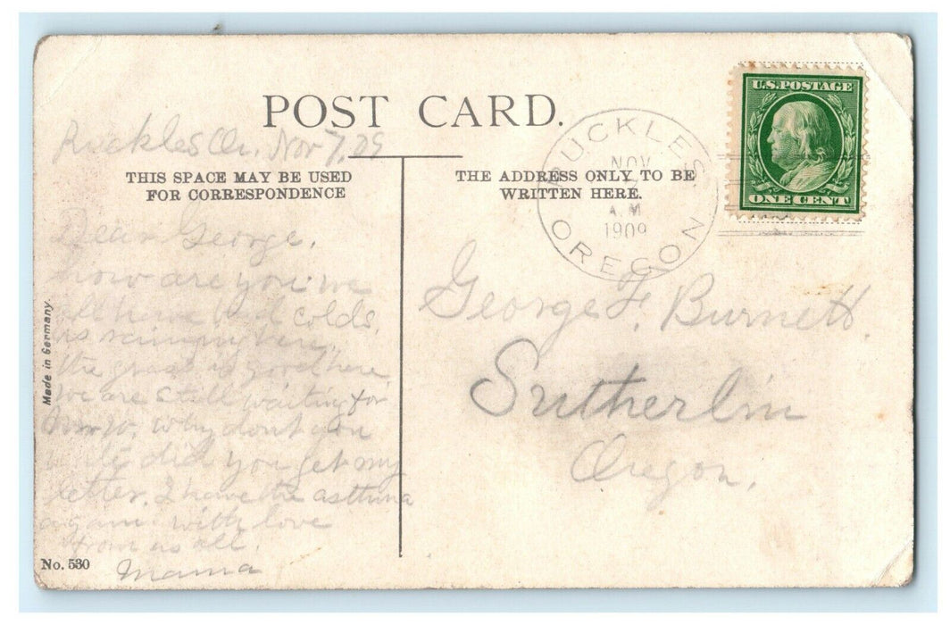 1909 Oneonta Bluffs Columbia River OR & N Railroad Ruckles Oregon OR Postcard