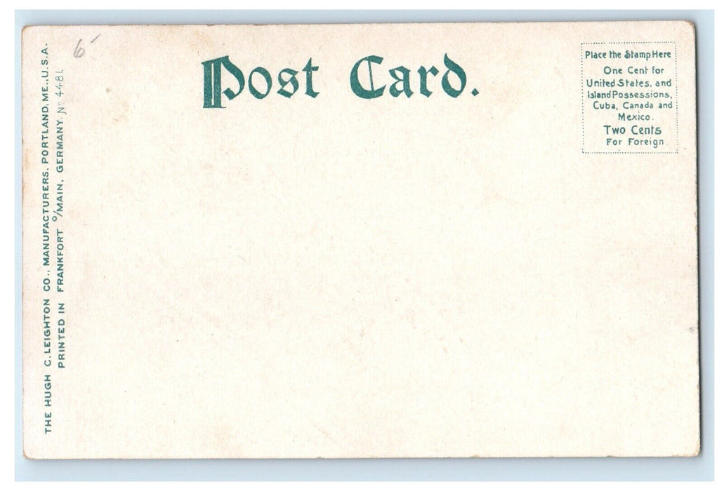 c1905 Alpine House Building Street View Gorham New Hampshire NH Antique Postcard