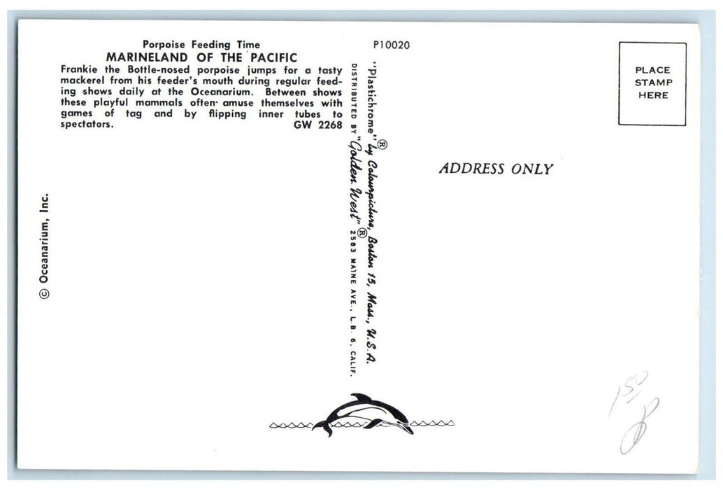 c9160's Porpoise Feeding Time Marineland Pacific Frankie Jumps Florida Postcard