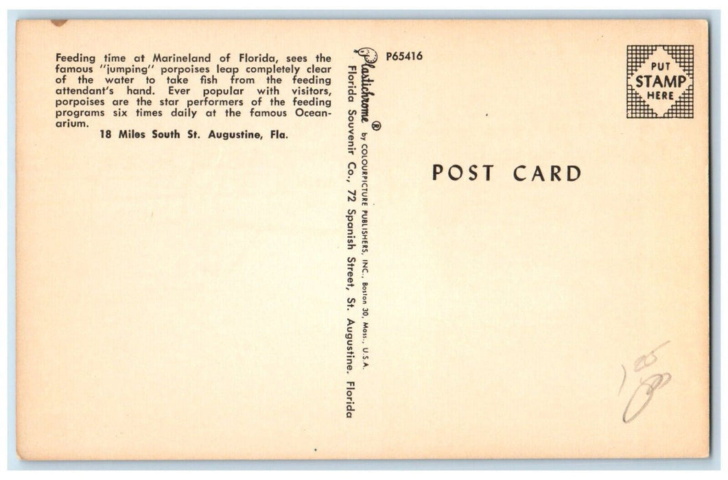 c1960's Feeding time Jumping Porpoises St Augustine Marineland Florida Postcard
