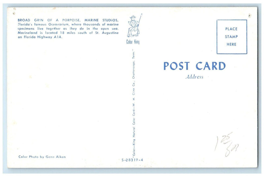 c1960's  Broad Grin Porpoise Marine Studios Marineland Florida Highway Postcard