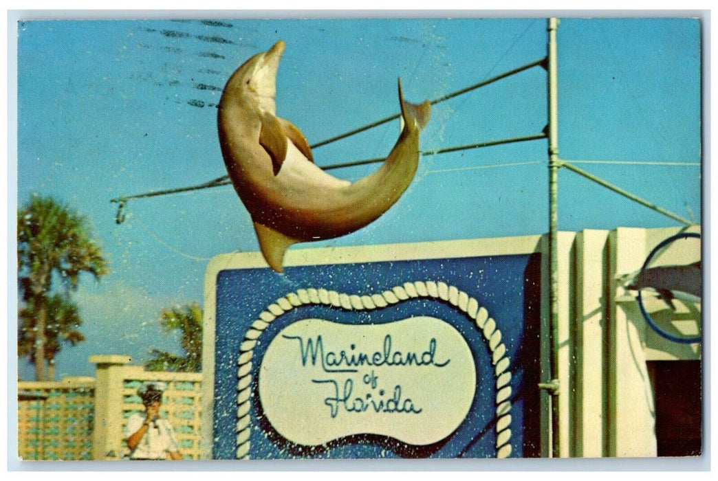 c1972 Lily Champagne Flips Visitors Marineland Florida Augustine Posted Postcard