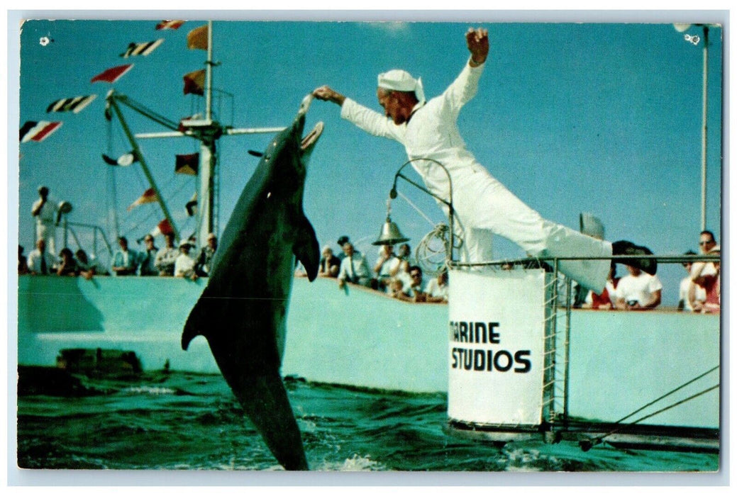 c1960's Hand Feeding Jumping Porpoises Marine Studio Marineland Florida Postcard
