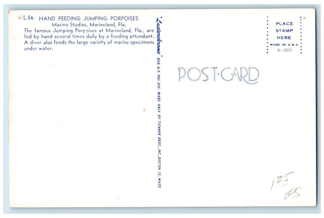 c1960's Hand Feeding Jumping Porpoises Marine Studio Marineland Florida Postcard