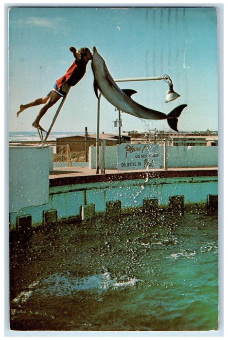 c1975 Delicate Balance World Gulfarium Fort Walton Beach Florida Postcard