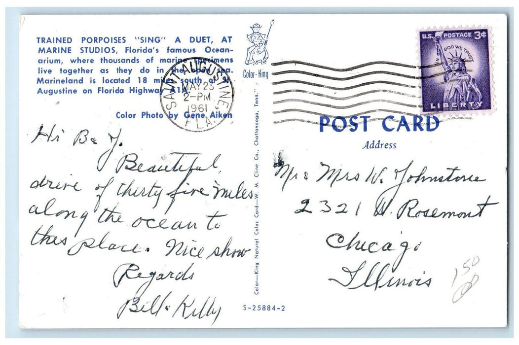c1961 Trained Porpoises Sing Duet Marine Studios Oceanarium Florida FL Postcard
