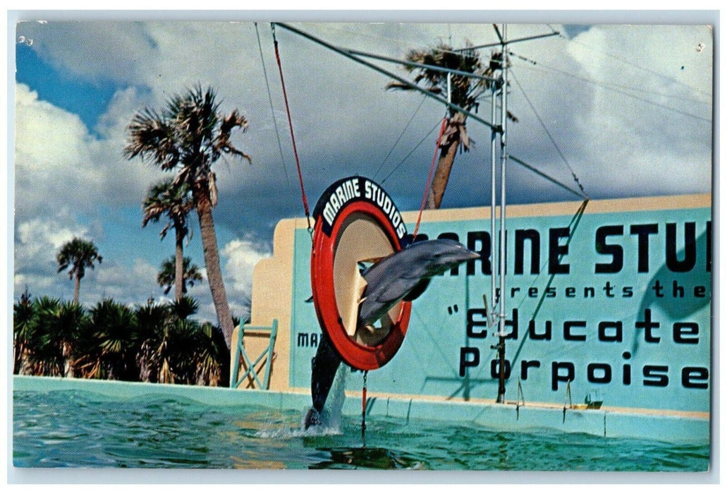c1960's One Educated Porpoises Jumps Through Hoop Marine Studio Florida Postcard