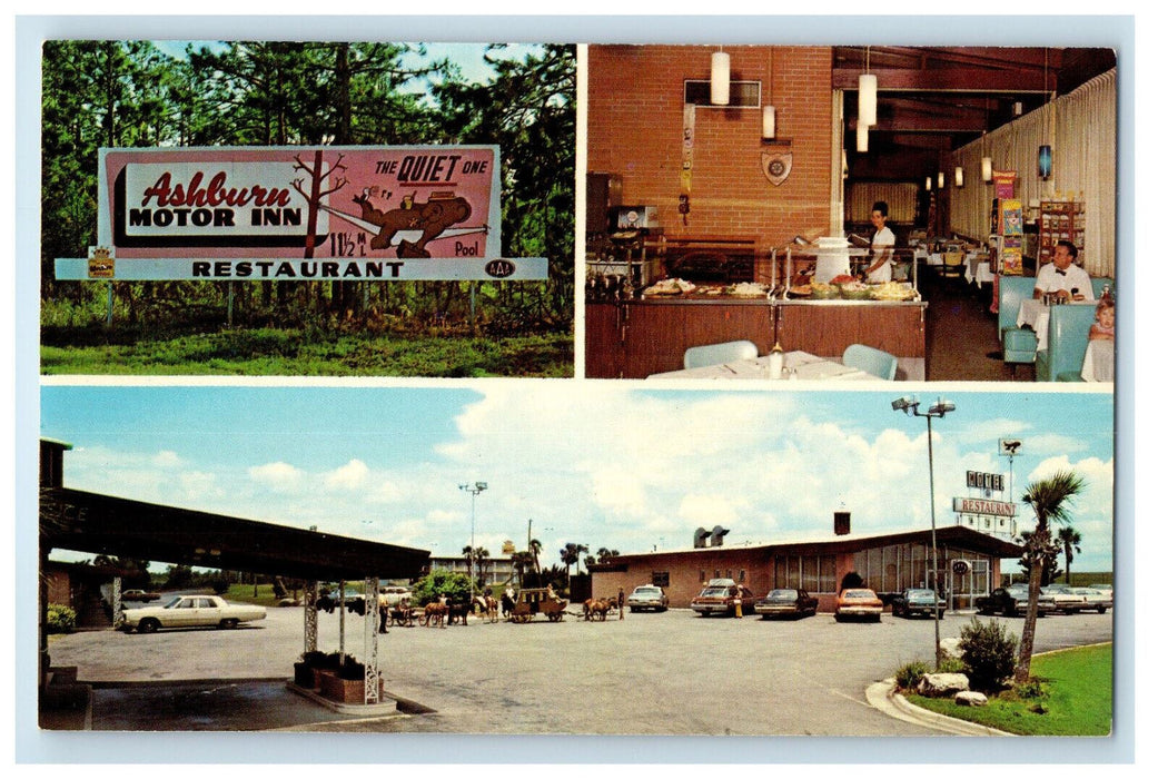c1950's Multiview, Ashburn Motor Inn Honeybear Restaurant Ashburn GA Postcard