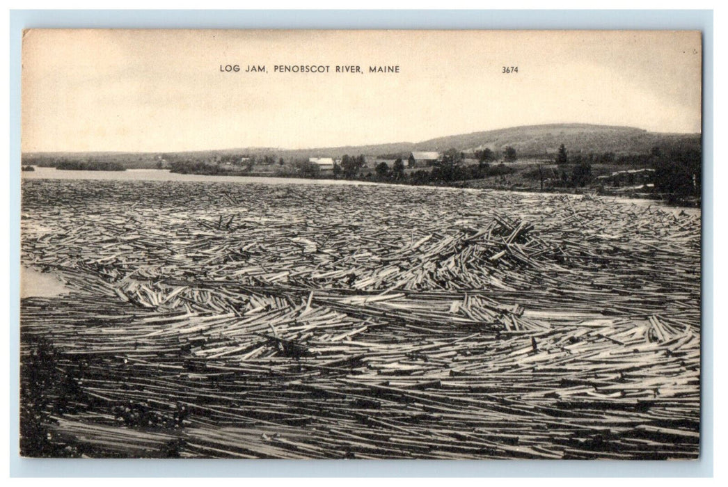 c1910 Log Jam Scene at Penobscot River Maine ME Unposted Antique Postcard