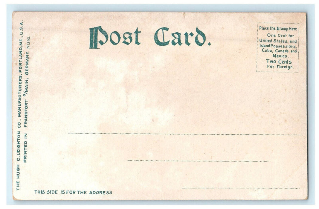 c1905s Lake Massabesic Back Pond Manchester New Hampshire NH Antique Postcard