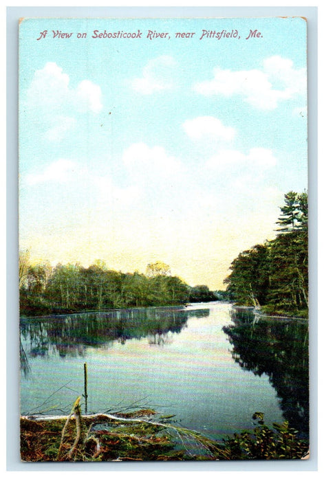 c1905 A View on Sebasticook River Near Pittsfield Maine ME Antique Postcard