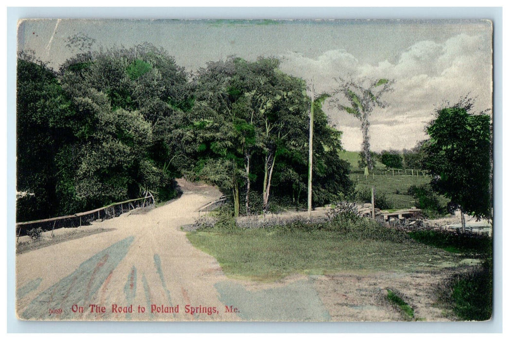 1906 On The Road to Poland Spring Maine ME East Sumner ME Antique Postcard