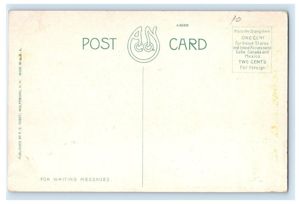 c1910's Scene On Lake Wentworth Wolfeboro New Hampshire NH Antique Postcard