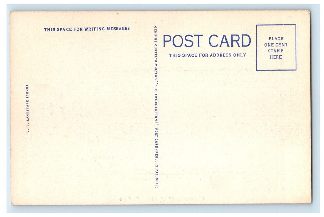 c1930's Greetings From Fayette Ohio OH, Road And Sea View Vintage Postcard