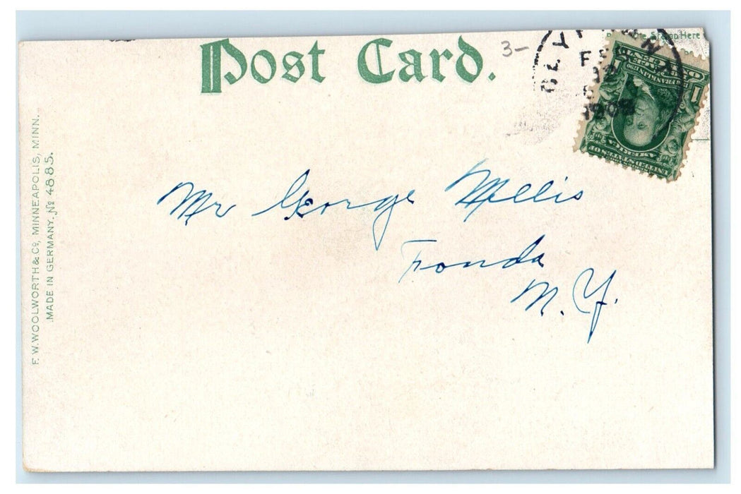 c1905 F. W. Woolworth & Co. Building Minneapolis Minnesota MN Antique Postcard