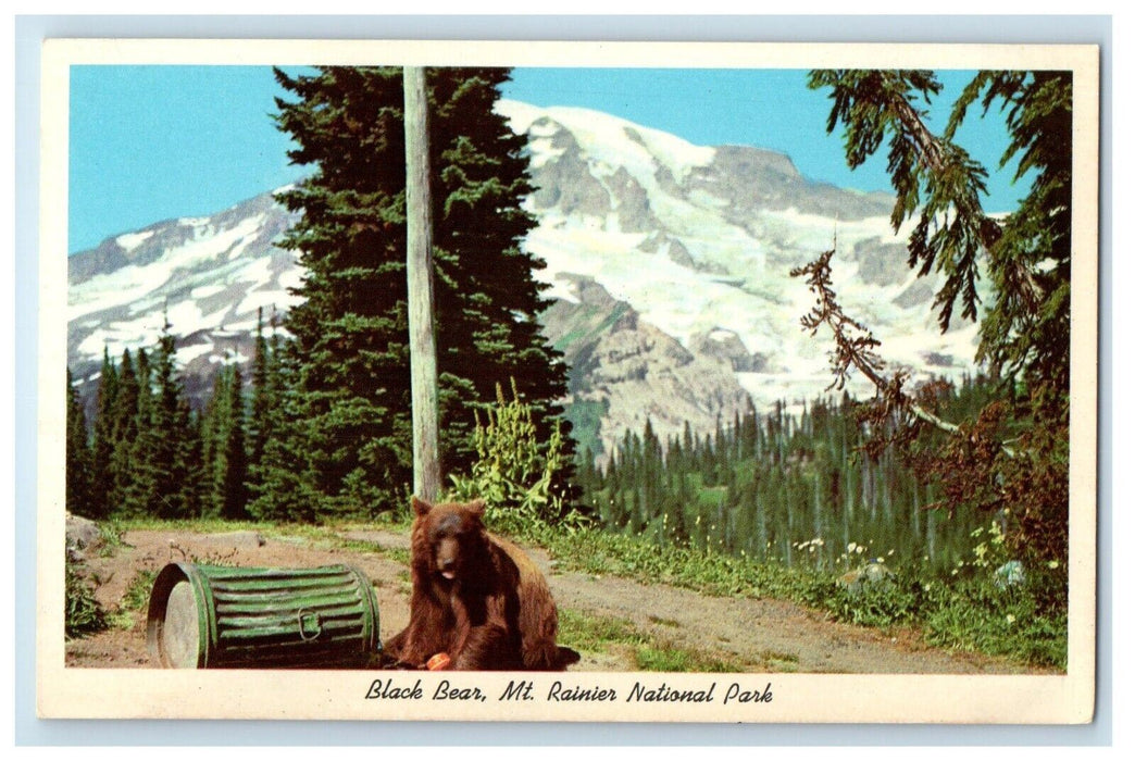 Black Bear Mt. Rainier National Park Washington State WA Vintage Postcard