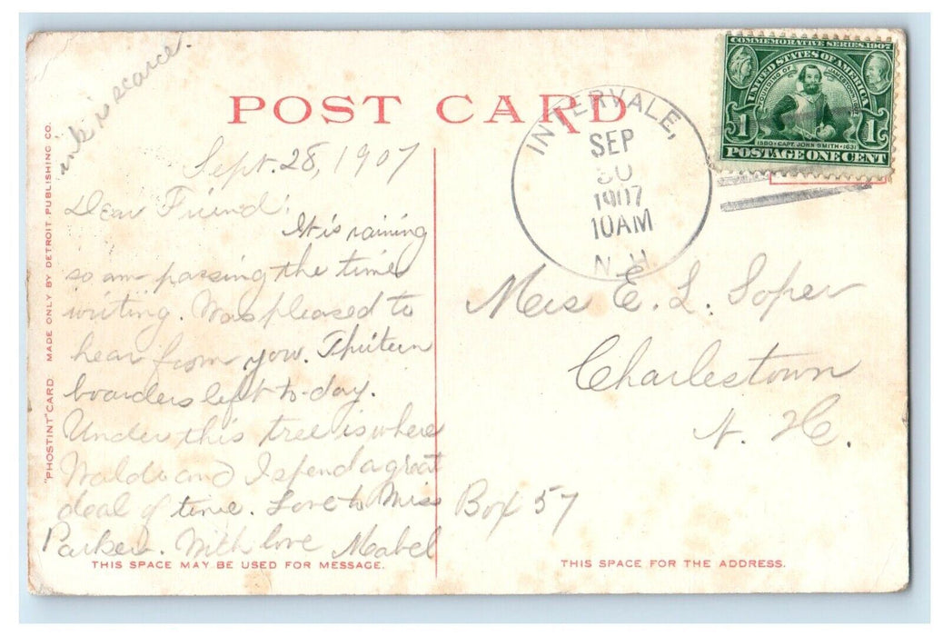 1907 Wizard Tree Intervale White Mountains New Hampshire Vintage Posted Postcard