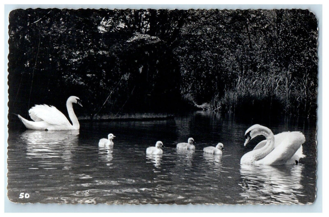 Greetings From Lakeledge Inn Waverly Nova Scotia Canada, Swan Lake View Postcard