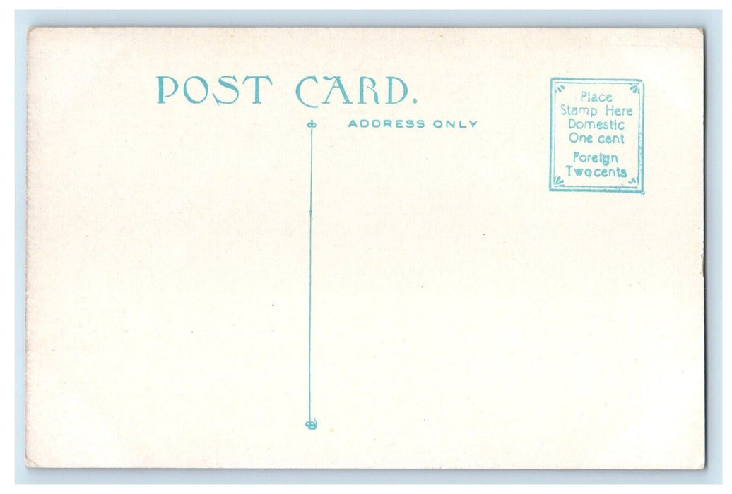 1910 Mammoth Elms Charlestown New Hampshire NH Vintage Antique Unposted Postcard
