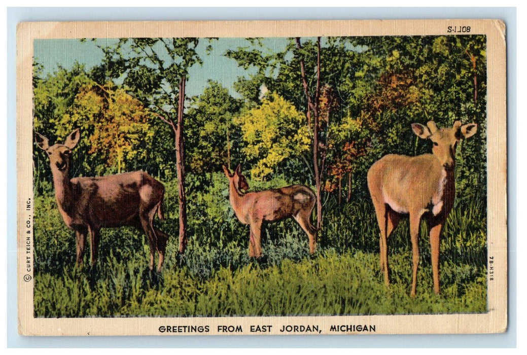 1955 Animal Scene, Greetings from East Jordan Michigan MI Posted Postcard