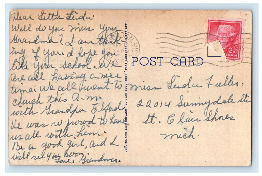 1955 Animal Scene, Greetings from East Jordan Michigan MI Posted Postcard