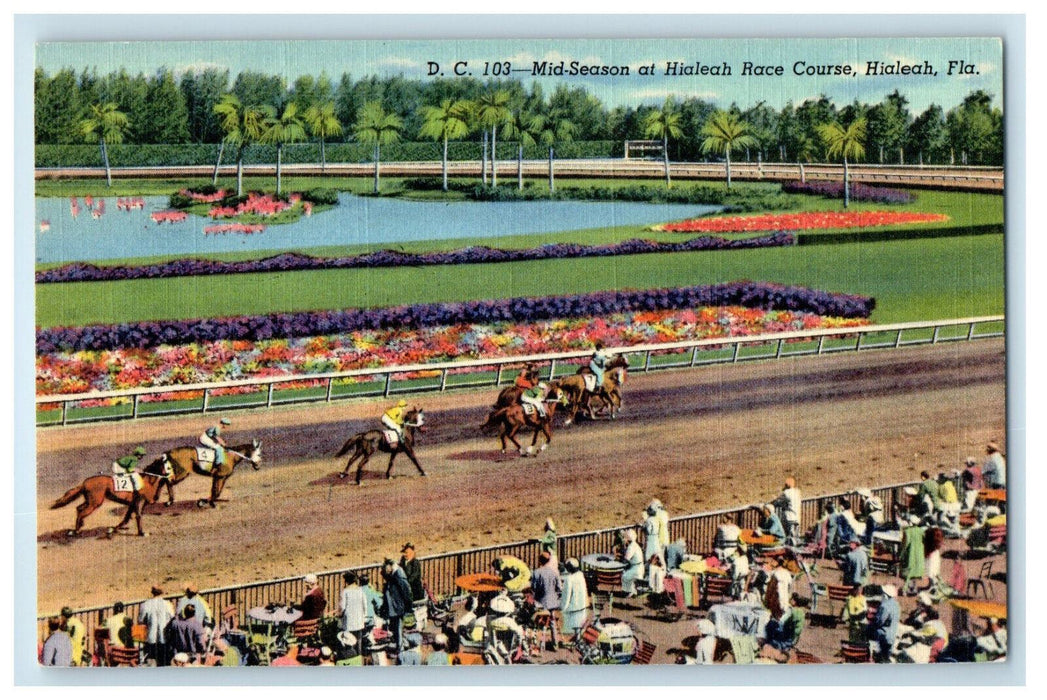 c1940's Mid Season at Hialeah Race Course Hialeah Florida FL Postcard