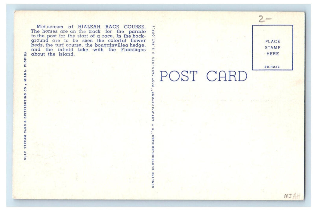 c1940's Mid Season at Hialeah Race Course Hialeah Florida FL Postcard