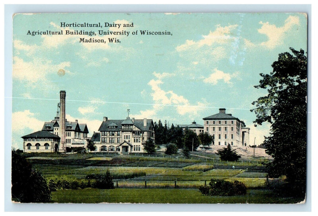 1911 Horticultural Dairy & Agricultural Buildings Madison Wisconsin WI Postcard